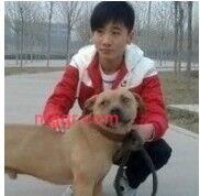 潘安的第1张照片