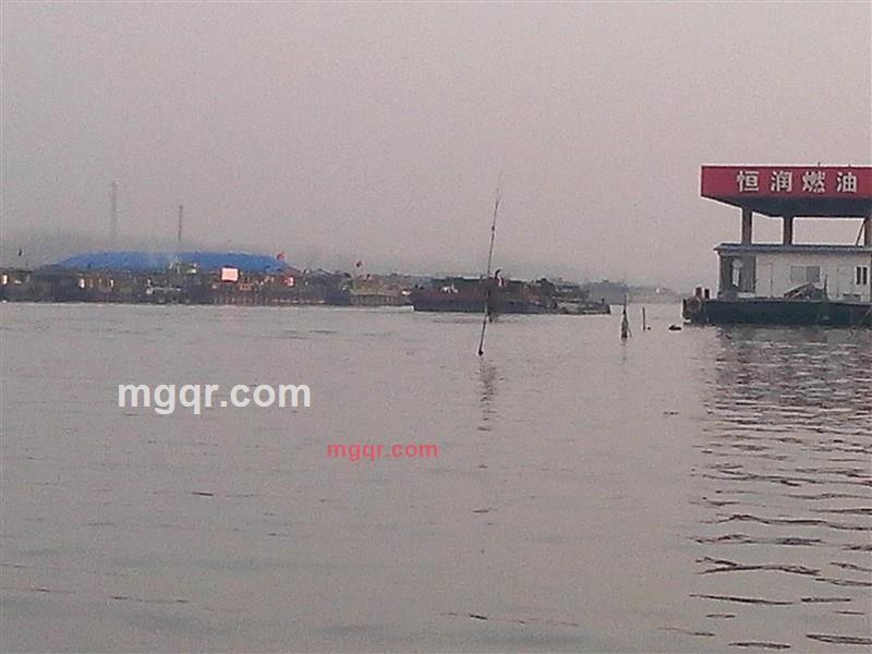 擎天尤物的第2张照片