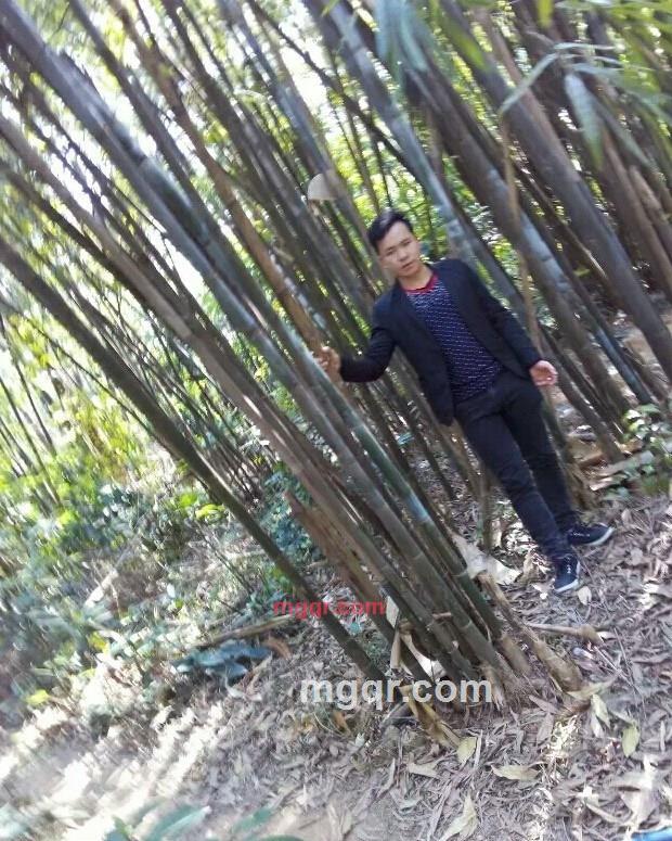 等待爱的第1张照片