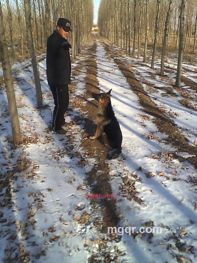 划向你的流星的第4张照片