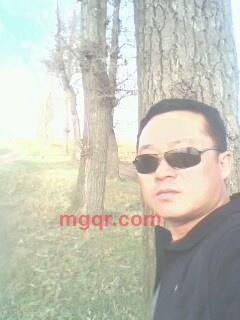 划向你的流星的第3张照片