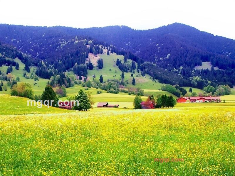 缚猿的第1张照片