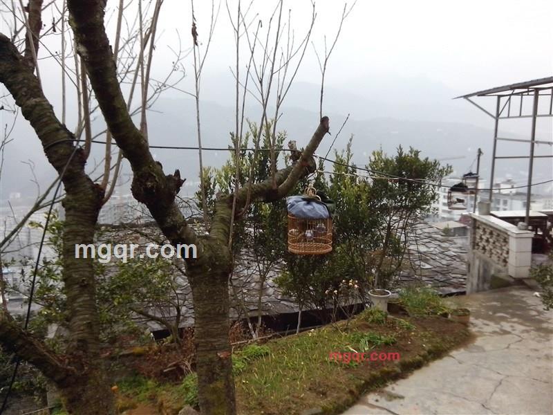 东哥紫阳人的第5张照片