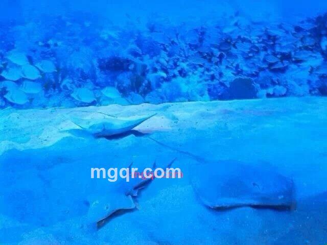 *龙强的第8张照片