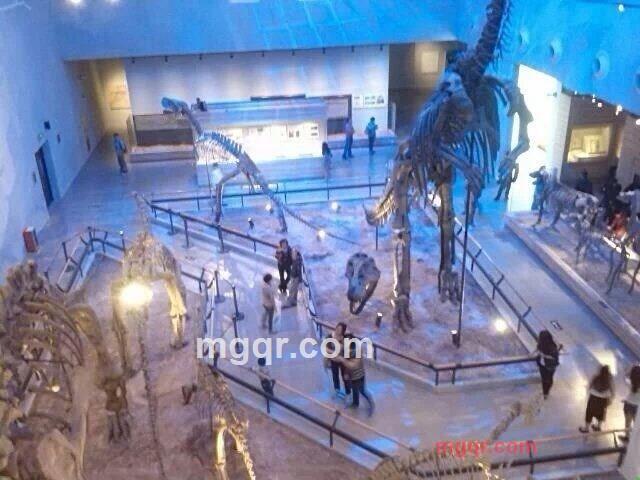 *龙强的第6张照片