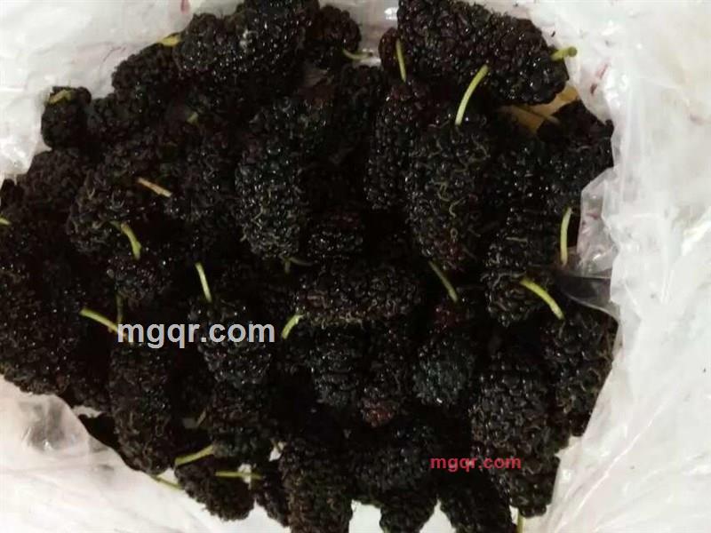 *龙强的第18张照片