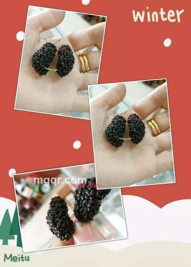 *龙强的第17张照片