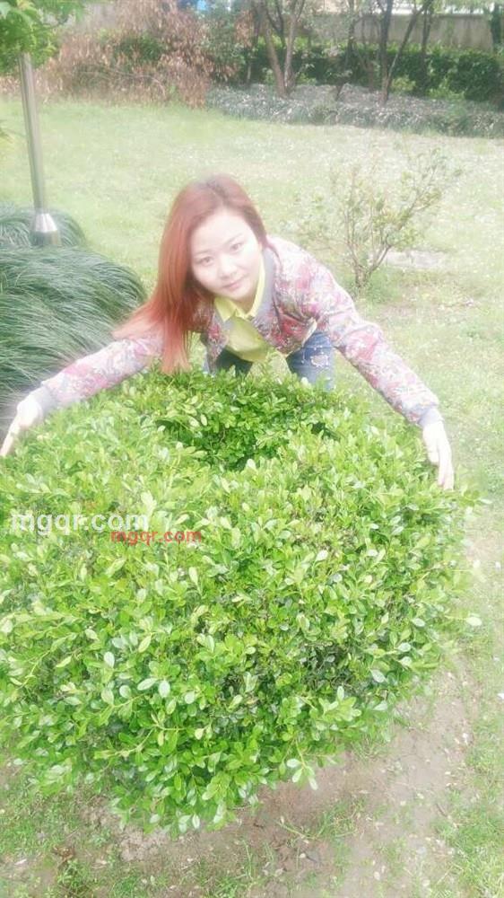 点滴回忆痛心的第26张照片