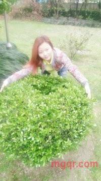 点滴回忆痛心的第16张照片