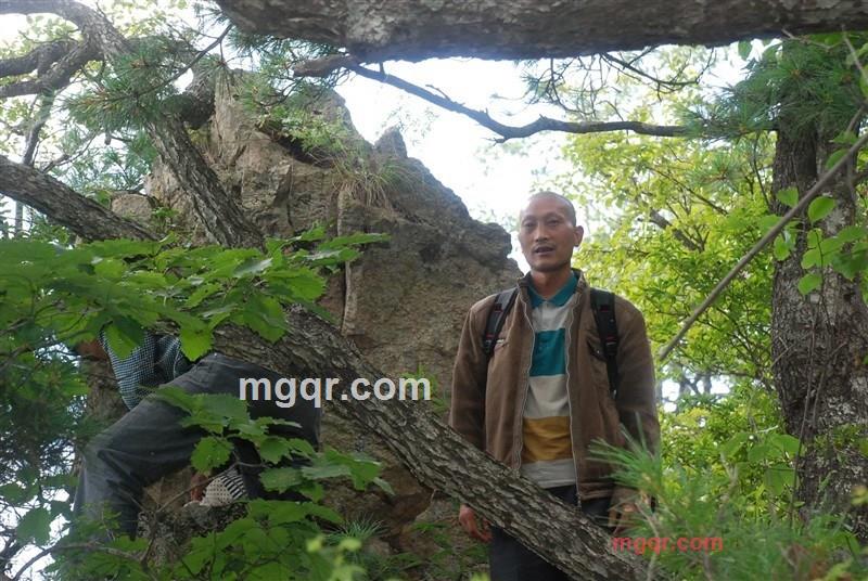 狼八子的第1张照片