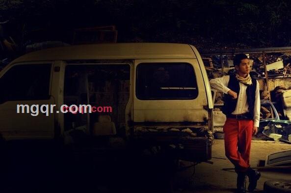 动情的狼的第5张照片