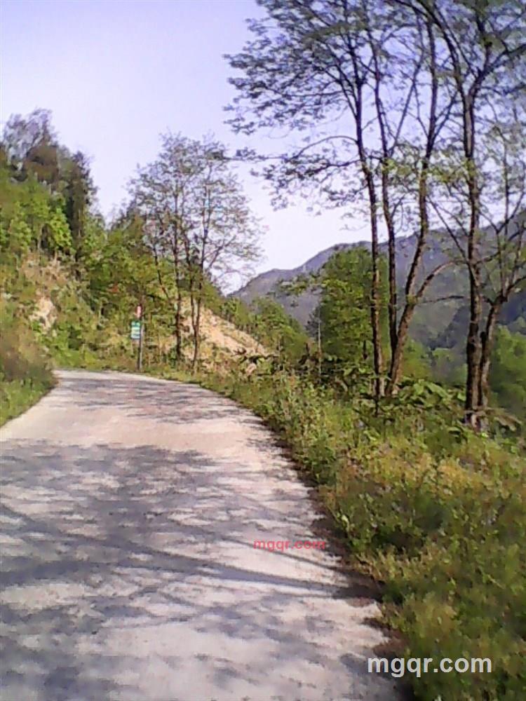 东哥紫阳人的第4张照片