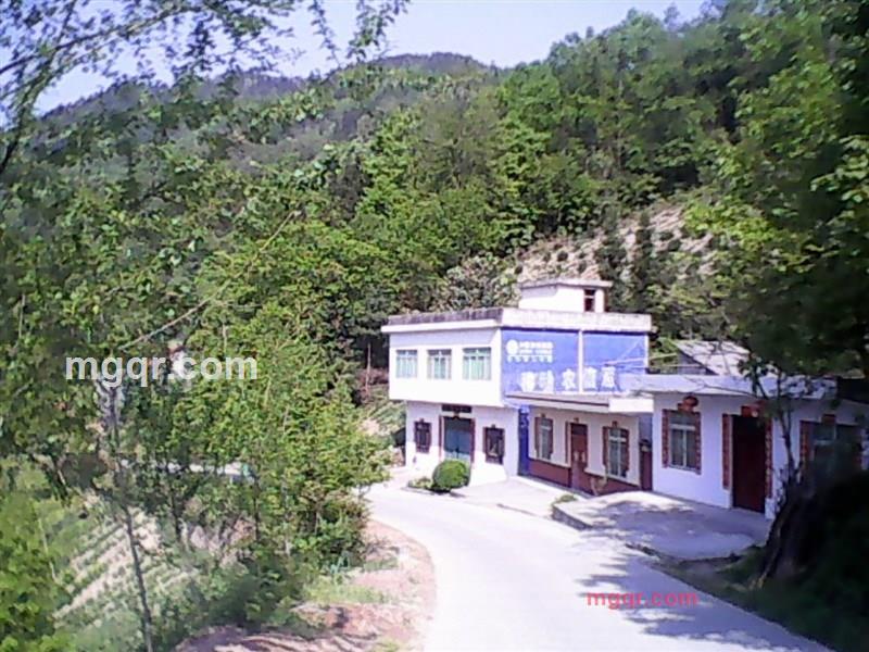 东哥紫阳人的第3张照片