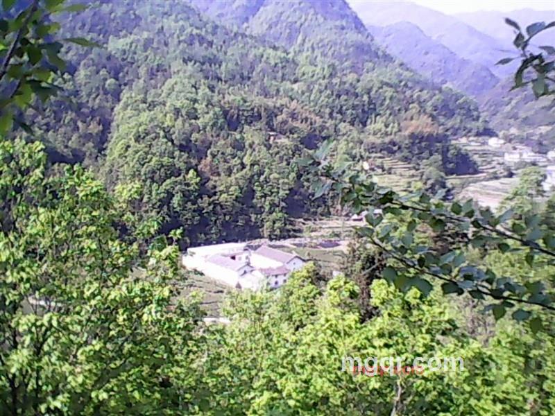 东哥紫阳人的第2张照片