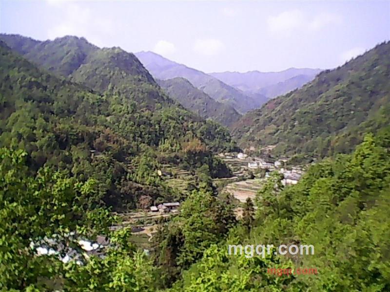 东哥紫阳人的第1张照片