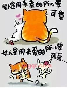 妩媚玫瑰的第1张照片