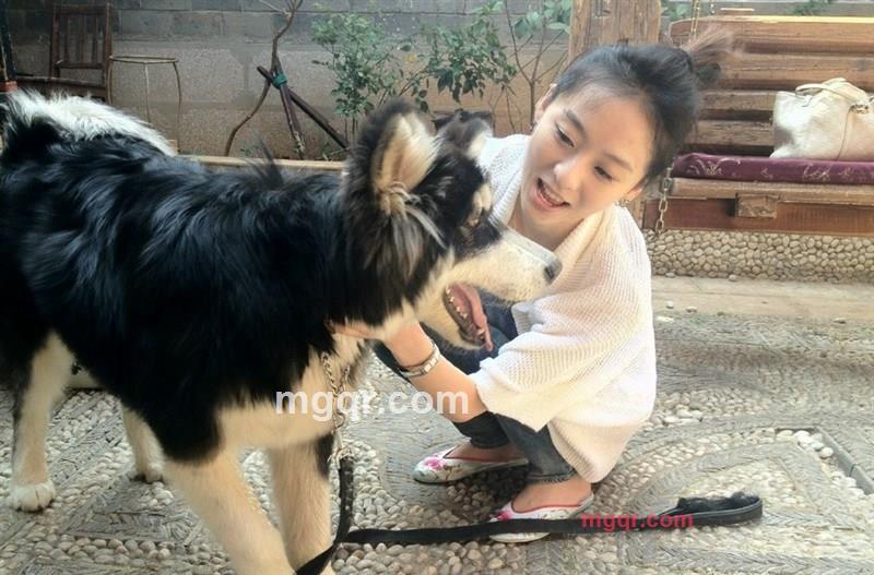 浮夸若梦的第5张照片