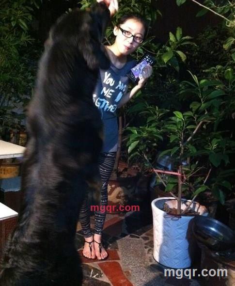 浮夸若梦的第3张照片