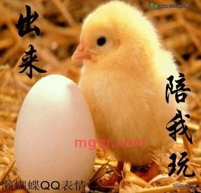 AA似飞仙的第4张照片