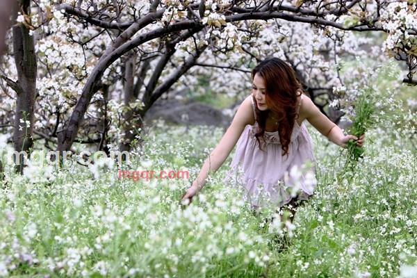 罂粟爱的第1张照片