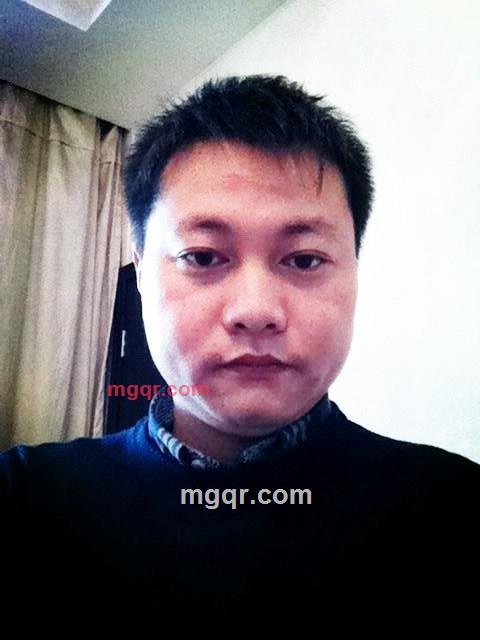 向日葵的夜晚的第2张照片