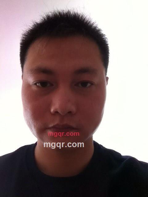 向日葵的夜晚的第1张照片