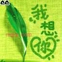 AA似飞仙的第2张照片