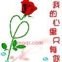 AA似飞仙的第1张照片