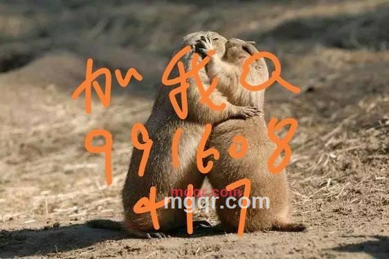 许小其的第1张照片