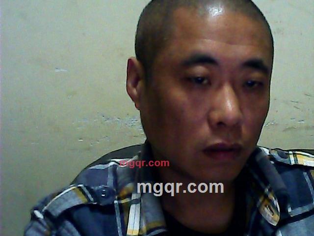 绿野仙踪的第1张照片