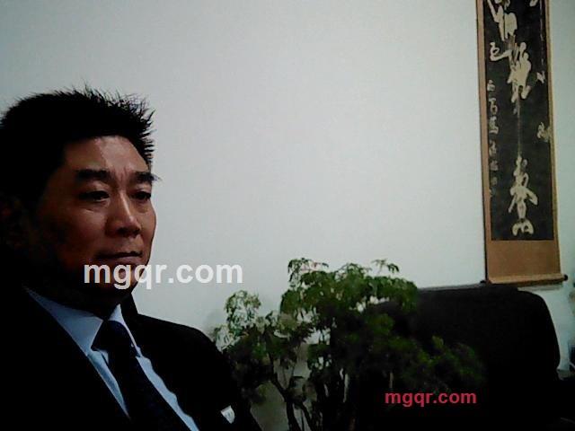 堤岸绿柳的第1张照片