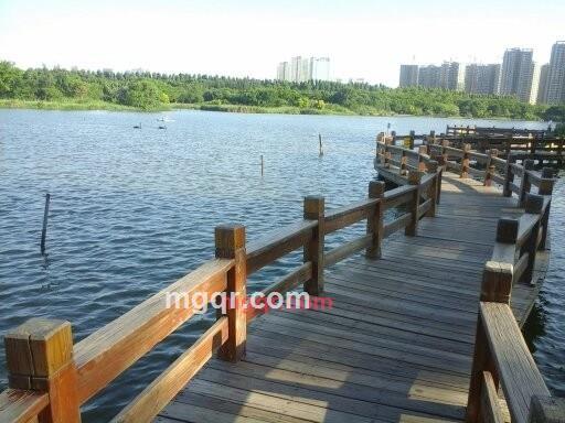 新朋友lml的第2张照片