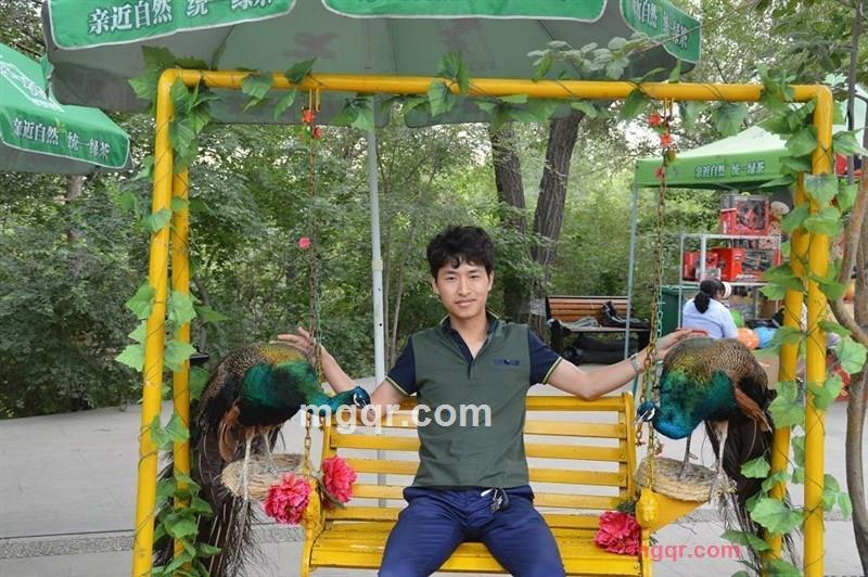 主旋律的第4张照片