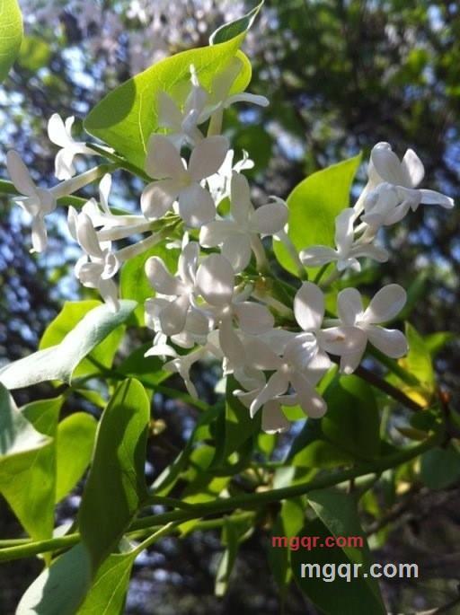 我不帅...的第2张照片