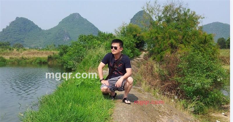 天若有情的第2张照片