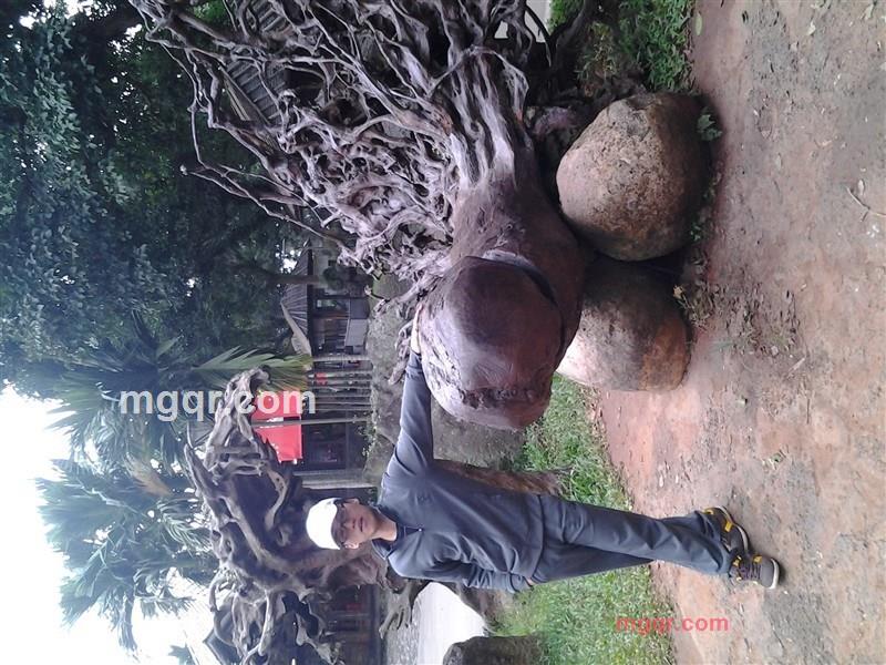 A~蒋~国语的第1张照片