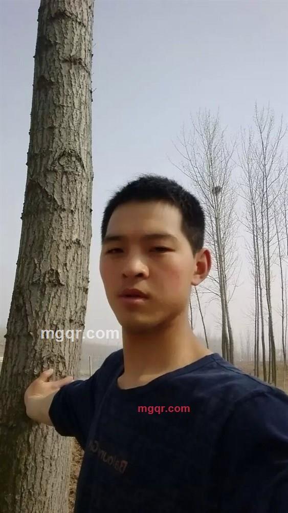 LYL.的第1张照片