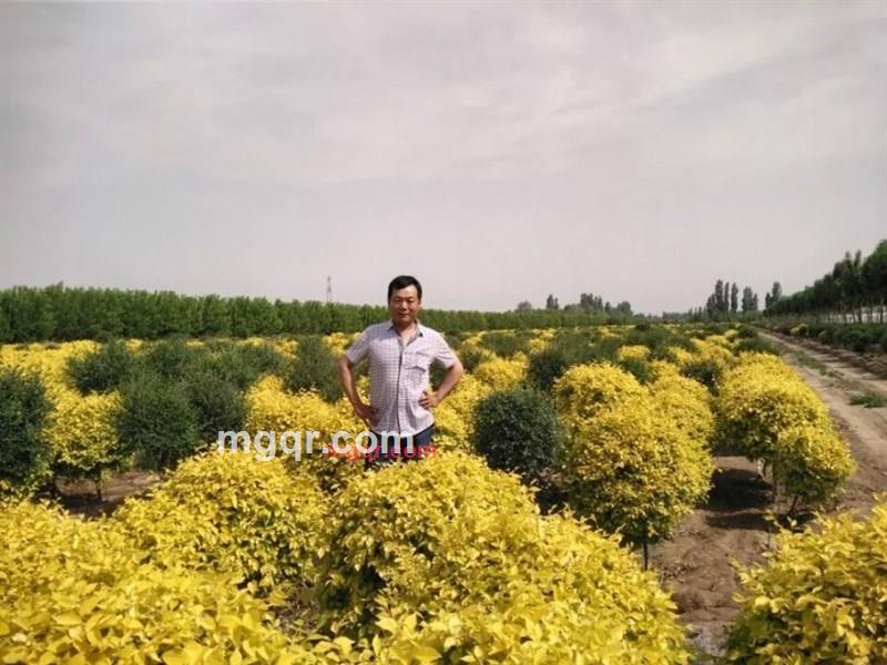 等到哪一天的第2张照片