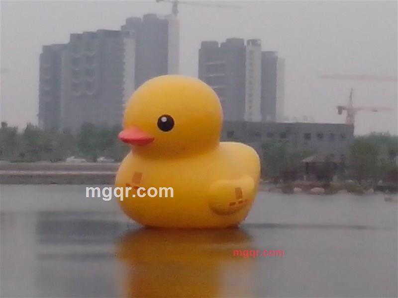 chigao的第1张照片