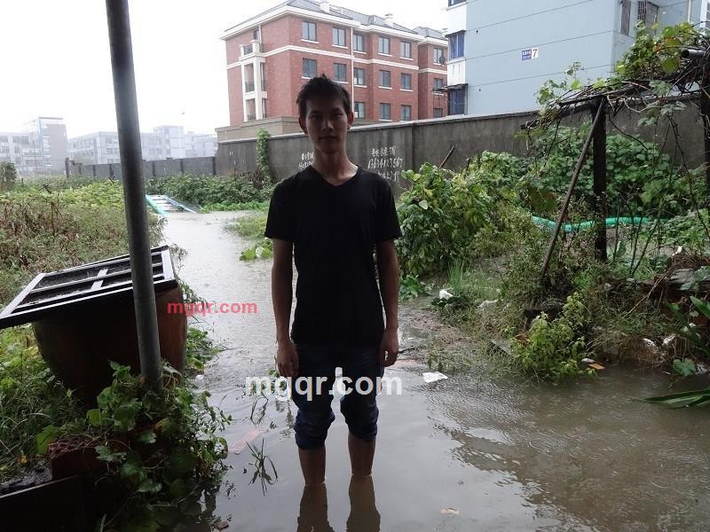 **我的第4张照片