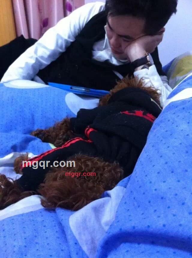 你的选择真没错的第1张照片