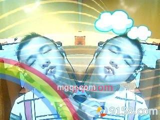 扬言玫瑰花的第2张照片