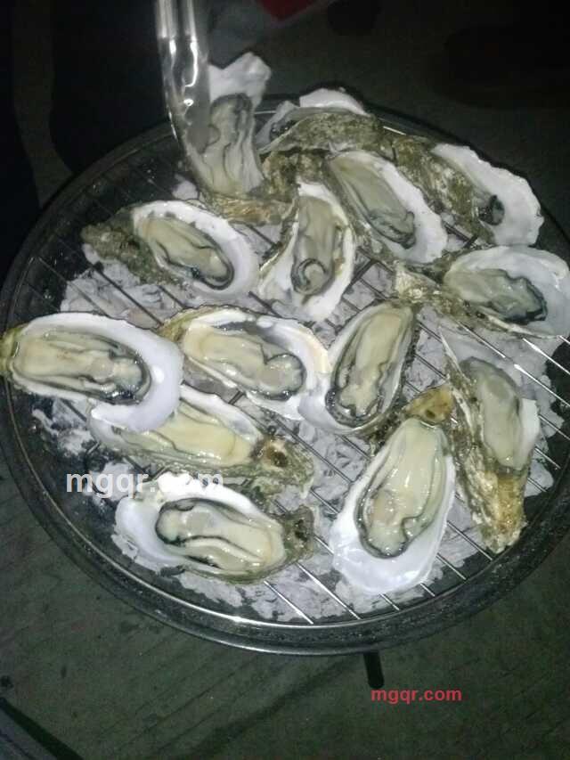 编号8512的第1张照片