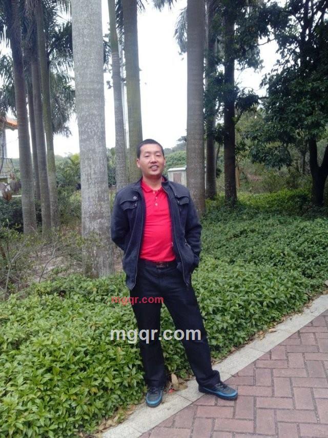 我来找你，的第1张照片