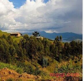 快乐相逢的第2张照片