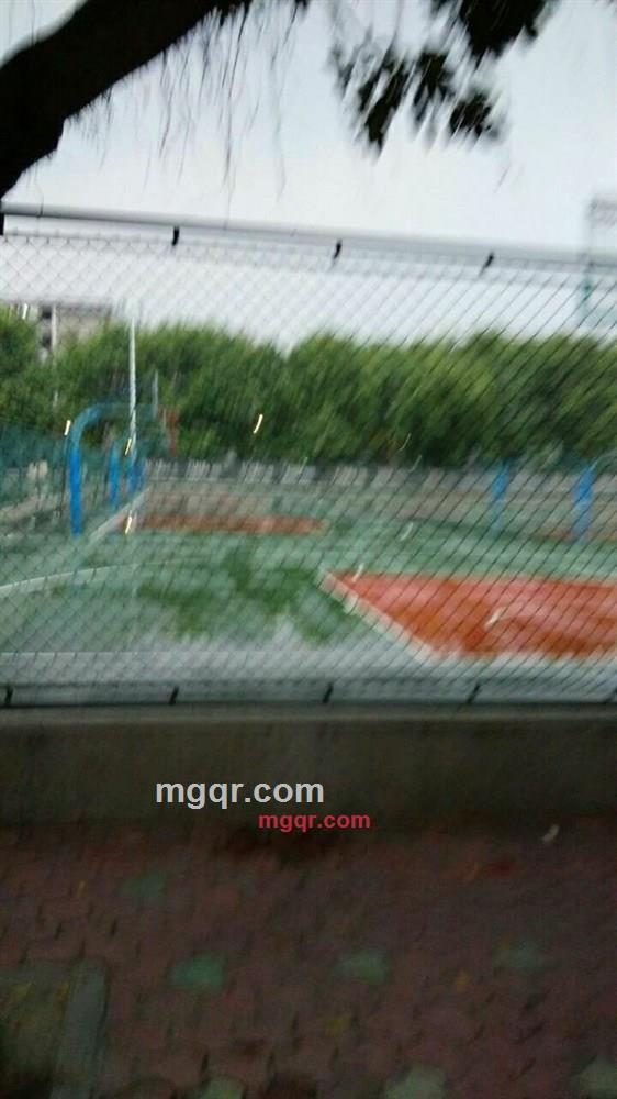 妮妮呀!的第2张照片