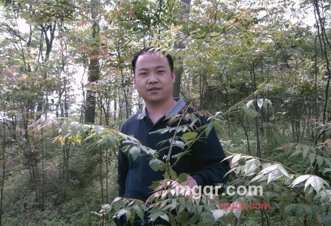 孤独的刀客的第1张照片