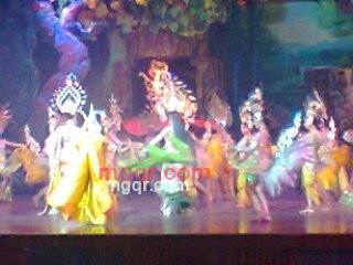 hgseek的第1张照片