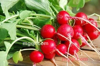 楚留香萧伯纳的第3张照片