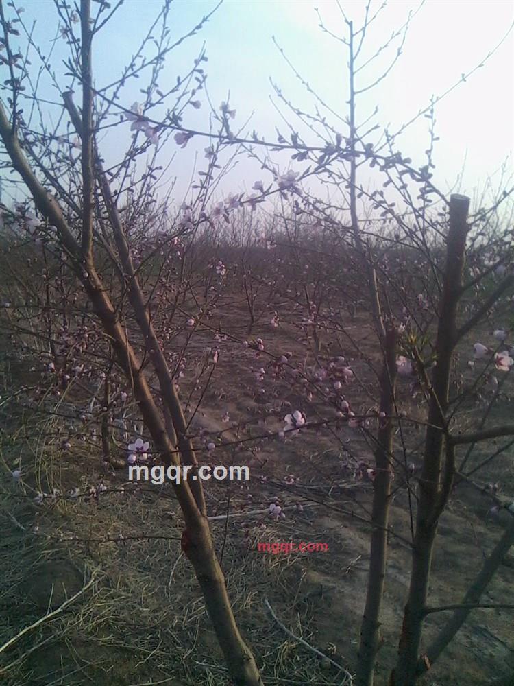 太慢的第1张照片